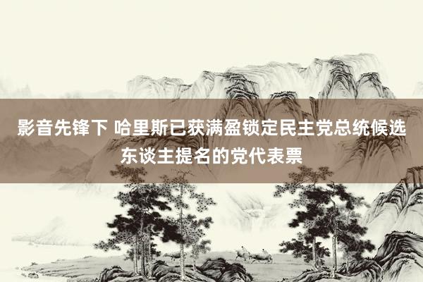 影音先锋下 哈里斯已获满盈锁定民主党总统候选东谈主提名的党代表票