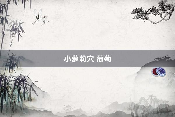 小萝莉穴 葡萄