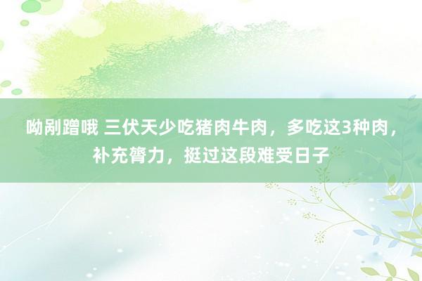 呦剐蹭哦 三伏天少吃猪肉牛肉，多吃这3种肉，补充膂力，挺过这段难受日子