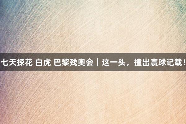 七天探花 白虎 巴黎残奥会｜这一头，撞出寰球记载！