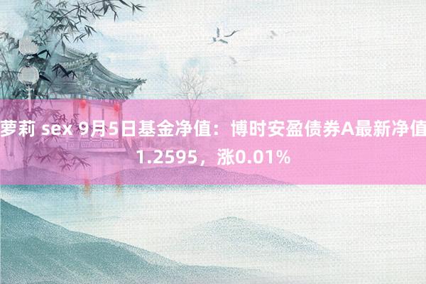 萝莉 sex 9月5日基金净值：博时安盈债券A最新净值1.2595，涨0.01%