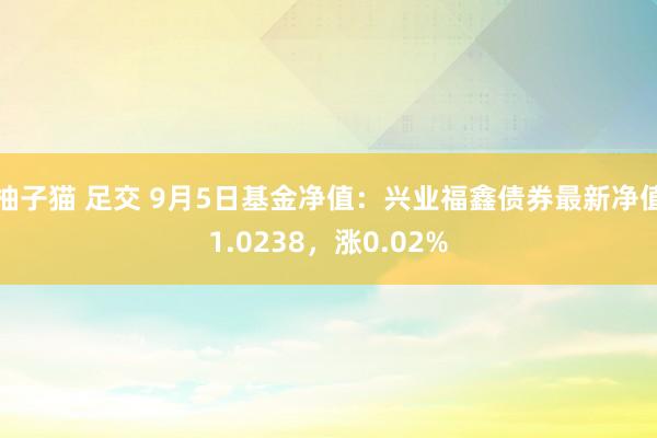 柚子猫 足交 9月5日基金净值：兴业福鑫债券最新净值1.0238，涨0.02%