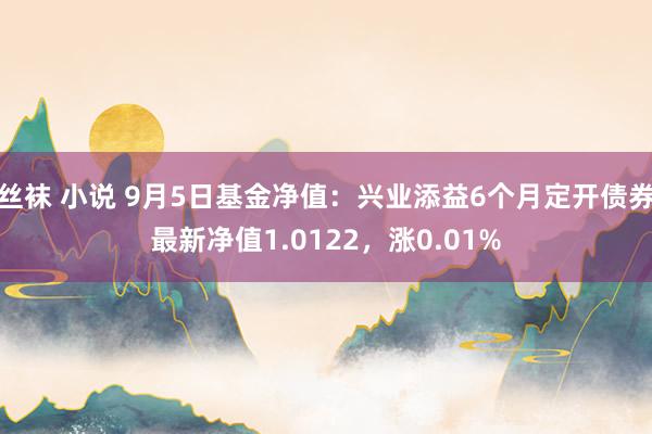 丝袜 小说 9月5日基金净值：兴业添益6个月定开债券最新净值1.0122，涨0.01%