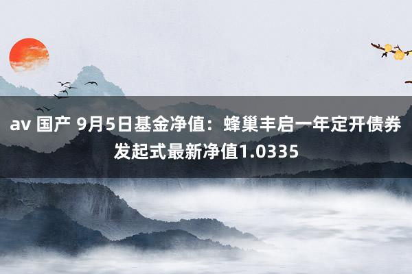 av 国产 9月5日基金净值：蜂巢丰启一年定开债券发起式最新净值1.0335