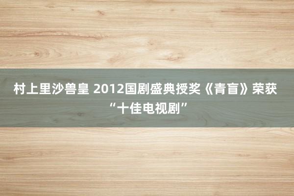 村上里沙兽皇 2012国剧盛典授奖《青盲》荣获 “十佳电视剧”