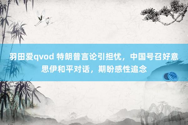 羽田爱qvod 特朗普言论引担忧，中国号召好意思伊和平对话，