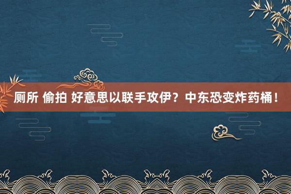 厕所 偷拍 好意思以联手攻伊？中东恐变炸药桶！