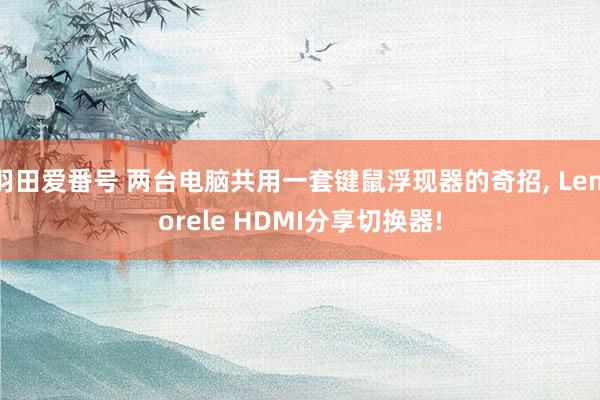羽田爱番号 两台电脑共用一套键鼠浮现器的奇招, Lemorele HDMI分享切换器!