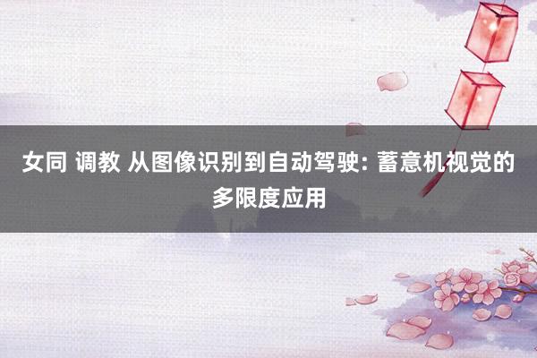 女同 调教 从图像识别到自动驾驶: 蓄意机视觉的多限度应用