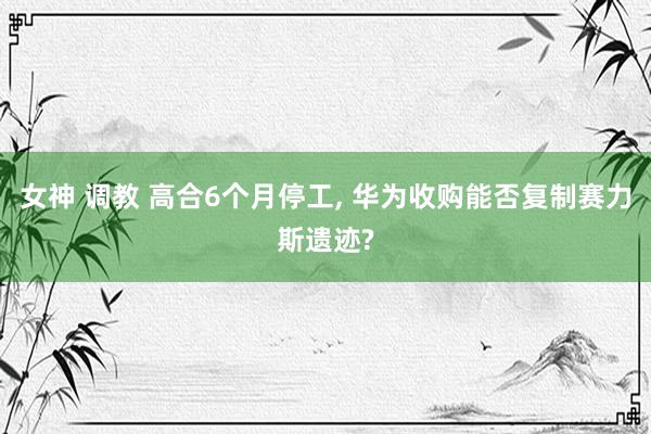 女神 调教 高合6个月停工, 华为收购能否复制赛力斯遗迹?