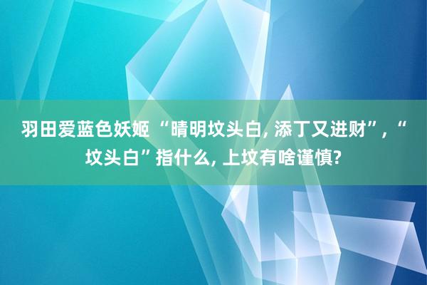 羽田爱蓝色妖姬 “晴明坟头白, 添丁又进财”, “坟头白”指