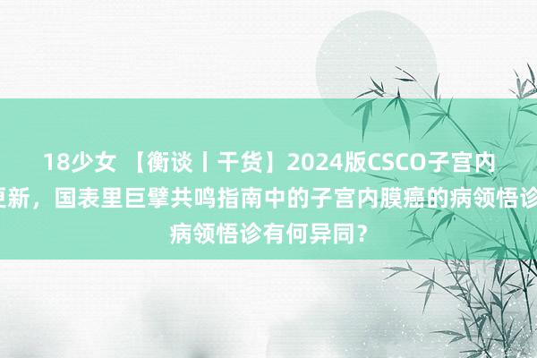 18少女 【衡谈丨干货】2024版CSCO子宫内膜癌指南更新