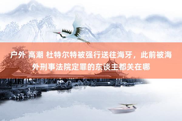 户外 高潮 杜特尔特被强行送往海牙，此前被海外刑事法院定罪的东谈主都关在哪