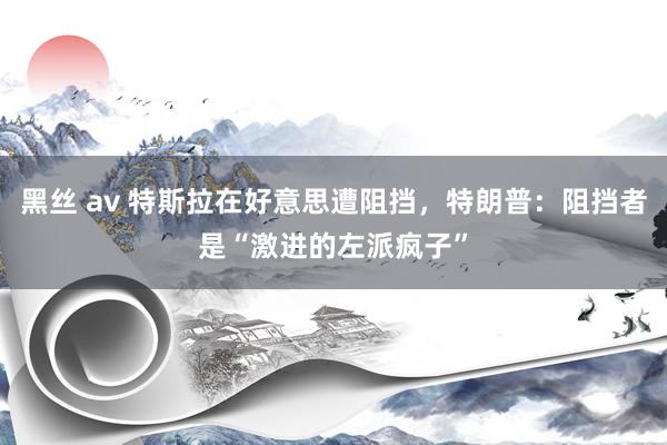 黑丝 av 特斯拉在好意思遭阻挡，特朗普：阻挡者是“激进的左